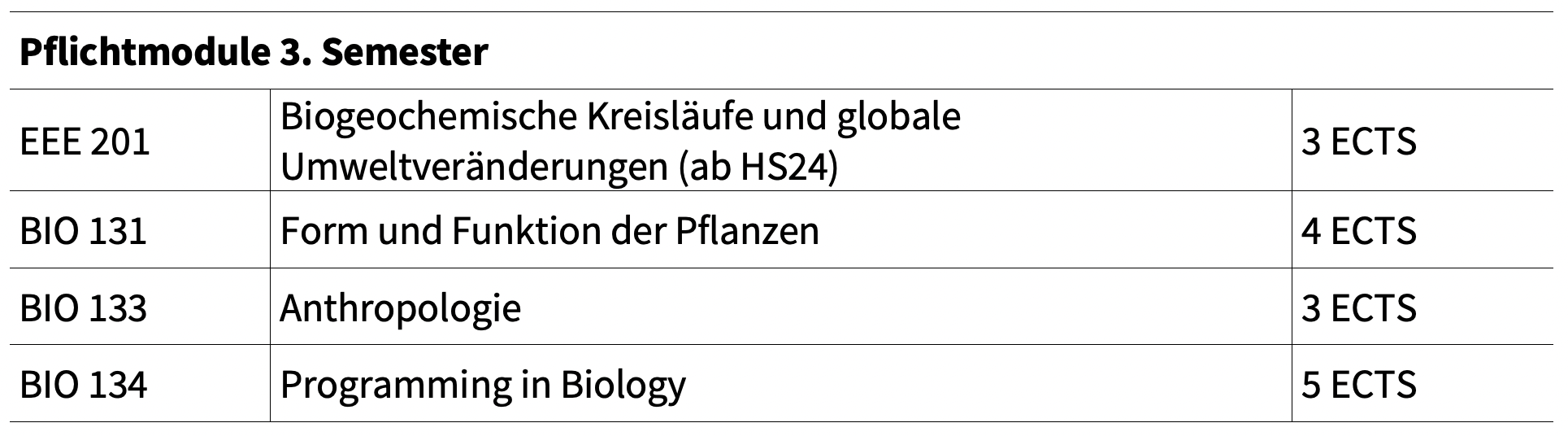 Pflichtmodule 3. Semester